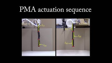 Dynamics for variable length multisection continuum arms (2)