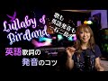 Lullaby of Birdlandの歌詞を綺麗に発音するコツ!歌はもちろん英語の発音も綺麗に!