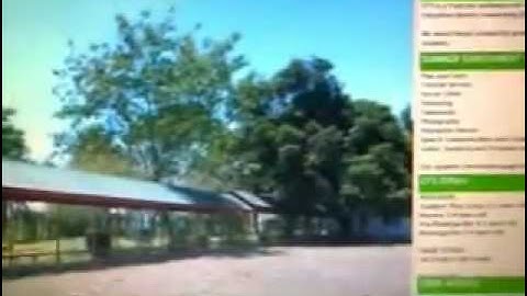 embedded .swf in vb.net