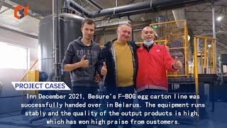 Bst Automatic Pulp Molding Egg Carton Production Line In Belarus