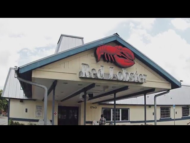 Red Lobster Considers Bankruptcy Reports