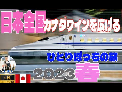 【4K】百戦錬磨！　2023 春・日本全国カナダワインを広げる一人ぼっちの旅