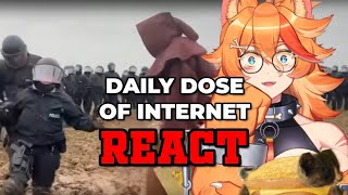 THE MUD WIZARD!!! | Buffpup Reacts to Daily Dose of Internet |