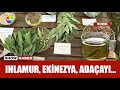 Hepsi doğal, hepsi birbirinden şifalı...