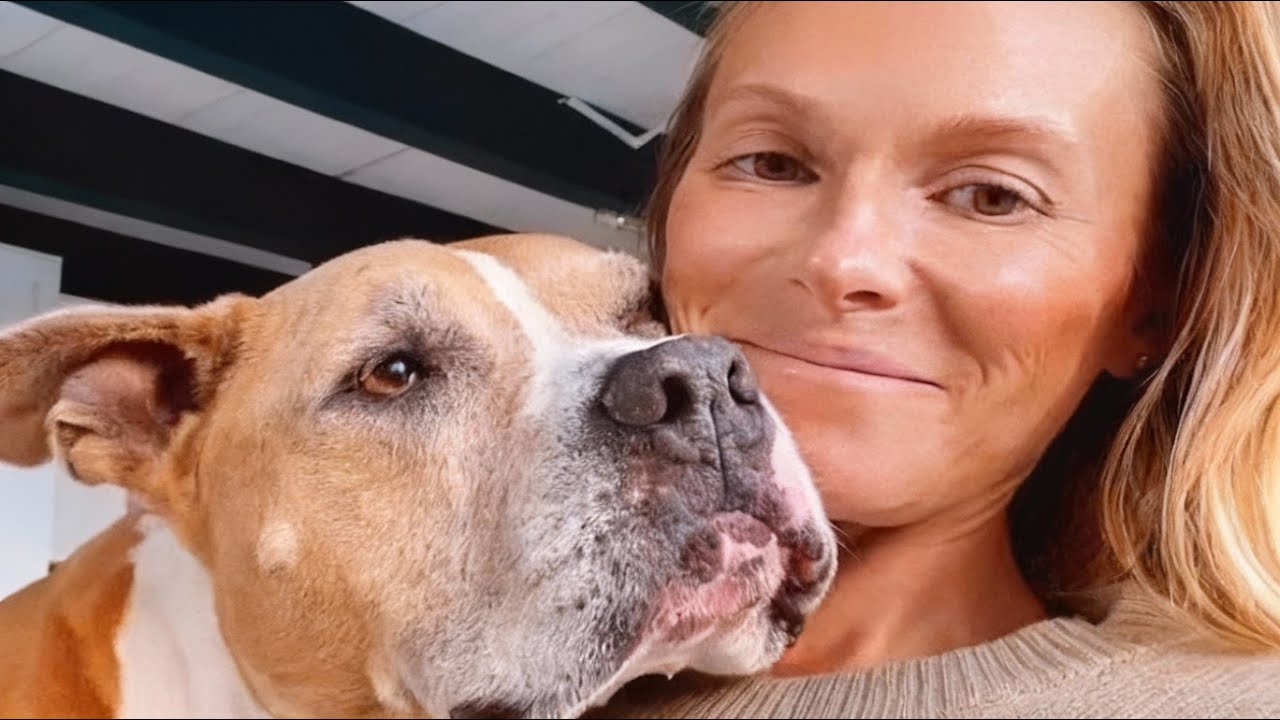 Моя спасенная собака сбегала каждую ночь в 3 часа утра. То, куда она делась, разбило мне сердце.