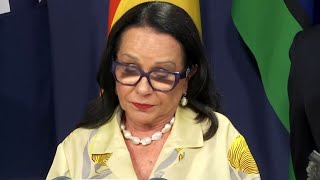 ‘Time to pass on the baton’: Linda Burney delivers emotional speech on retirement announcement