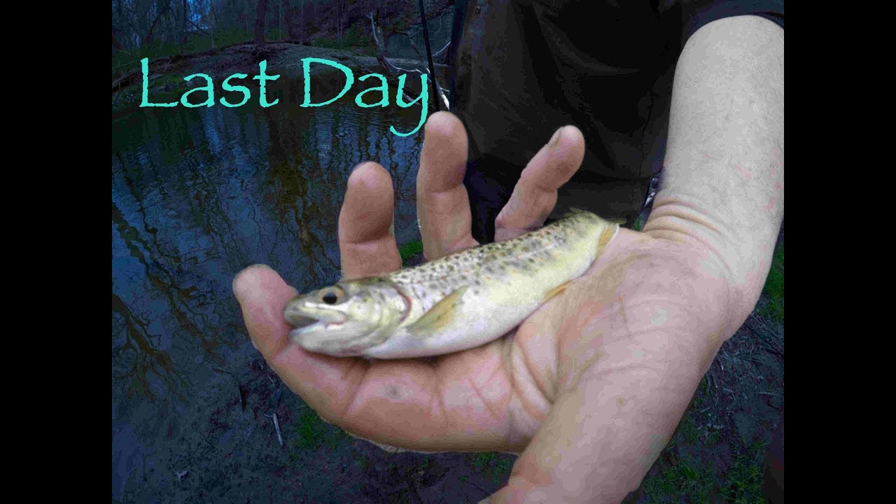 Trout Fishing In Pennsylvania 2019 Day 6 (Last Day With Catches) YouTube