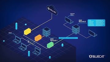 BlueCat | Network Demo #1 Edge Can Reduce Complexity Explainer Video