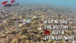 Flatt Shad, Magic Swimmer And Spin Shad - Sebile Australia