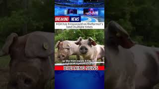 Hoa Has Trespassed On Thefarmersland Multiple Times