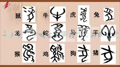 14 甲骨文 - 天天要聞