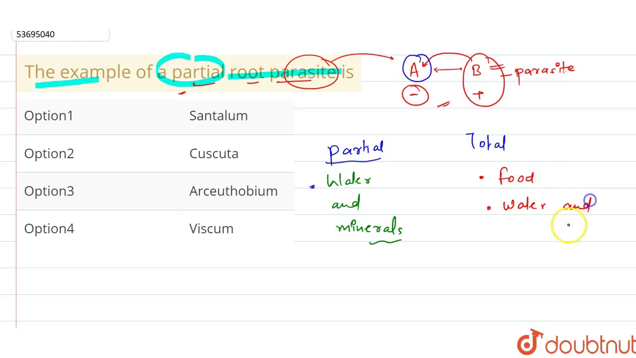 The example of a partial root parasite is