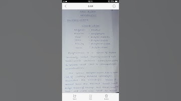 l Bsc ll sem Polytrichum