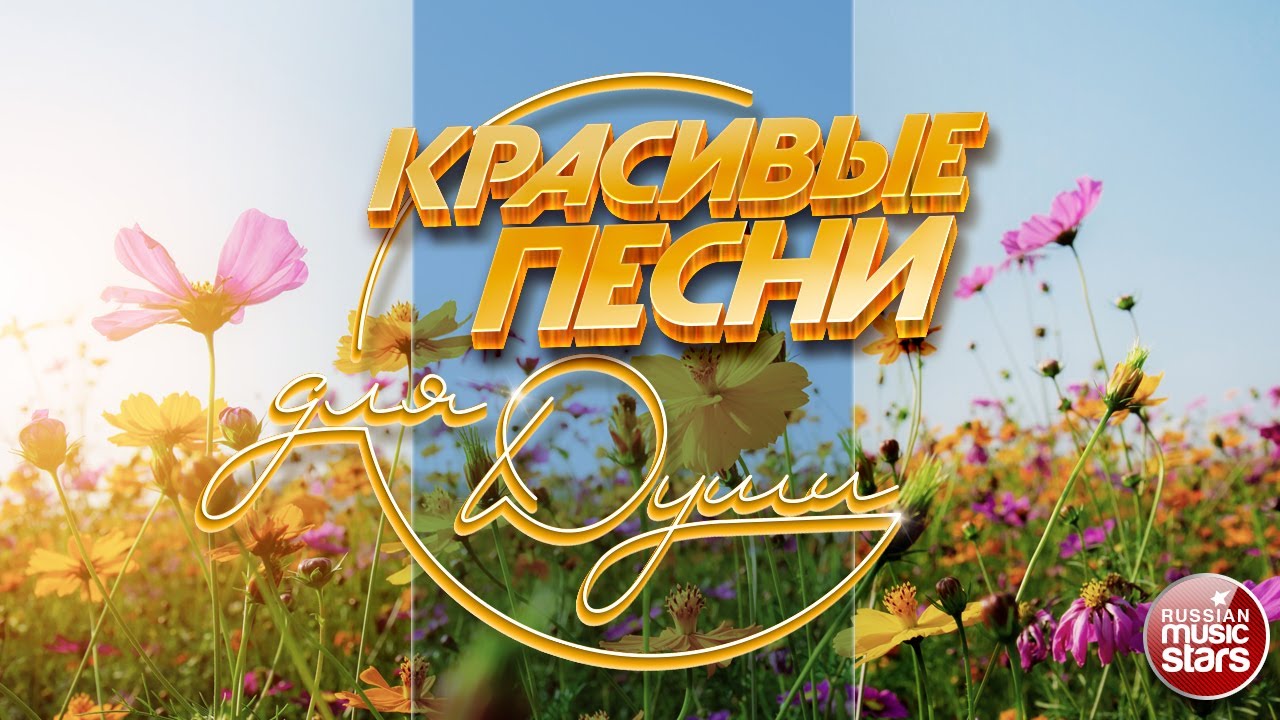 Иван Кучин Новые Песни 2022 Года Иван Кучин Новые Песни 2022 Года