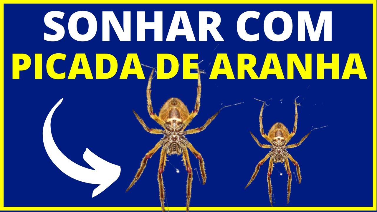 Significado de sonhar com picada de aranha. Venha descobrir!