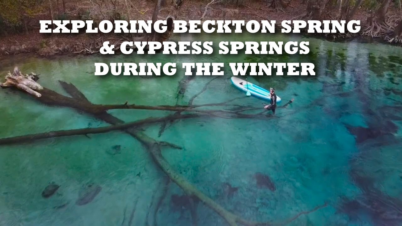Exploring Becton Spring and enjoying Cypress Springs in the winter ...