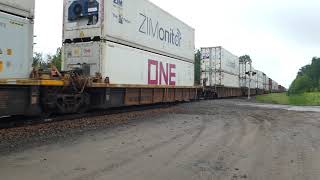 Celebrity MEGA Long mostly double stack container train.. Net Worth