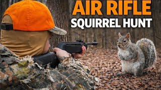 Can the Ruger Air Hawk Elite II Hunt Squirrels?