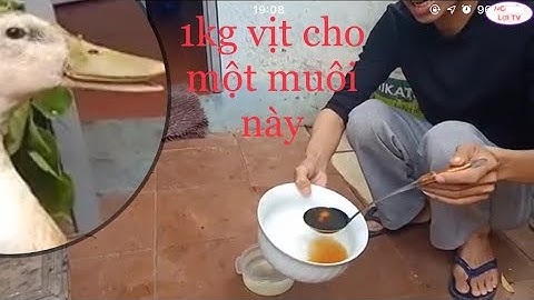 CAO THỦ TIẾT LỘ BÍ KÍP HÁM TIẾT CANH VỊT BẰNG NƯỚC MẮM NAM NGƯ