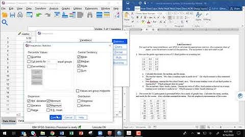 Descriptive Statistics with SPSS