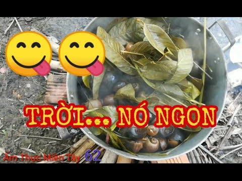 ATMT62 | Thử