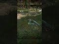 DAYZ I SNIPER VS FULL LOOT 😱 #shots #pvp
