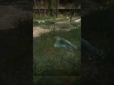 DAYZ I SNIPER VS FULL LOOT 😱 #shots #pvp