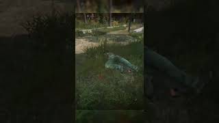 DAYZ I SNIPER VS FULL LOOT 😱 #shots #pvp