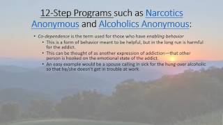 12 Step Programs