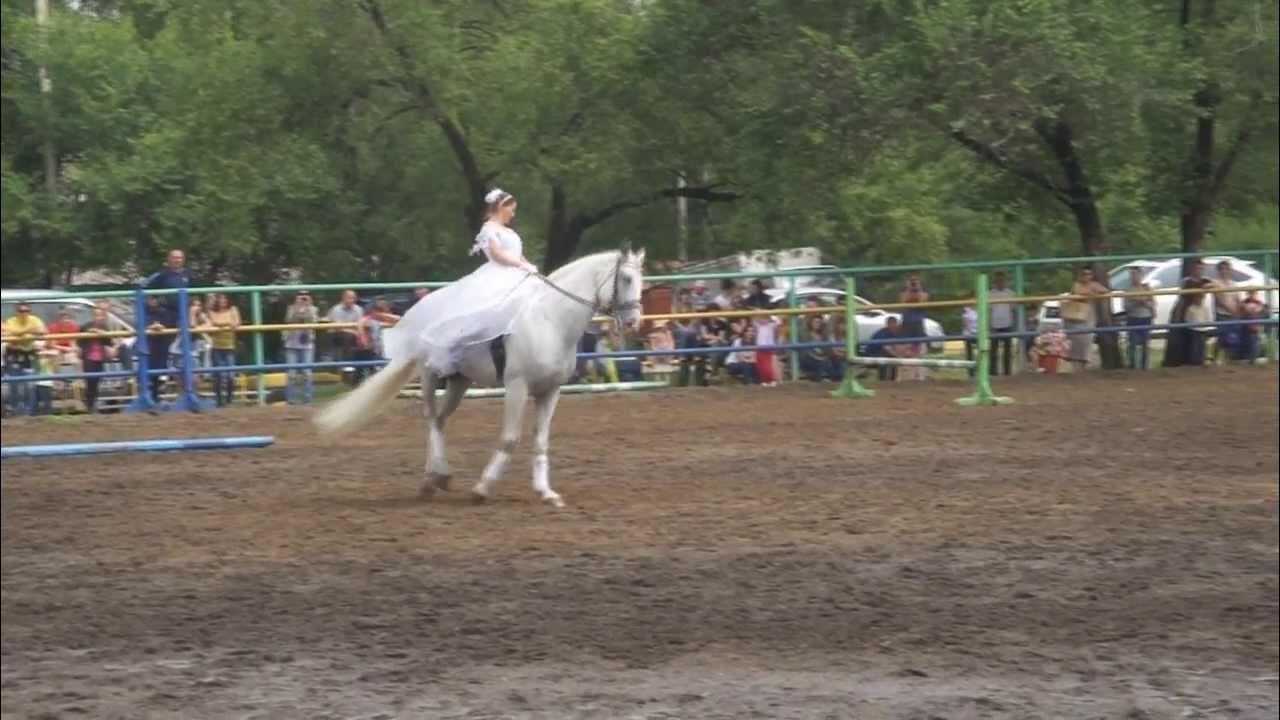 Татьяна Кузнецова конный спорт