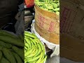 mini vlog 🕊️ #minivlog #shortsfeed #bihar #patna #youtube