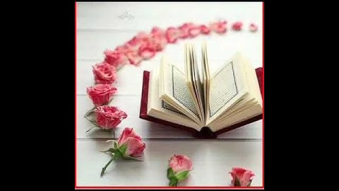 صوت المنشاوي سوره المسد