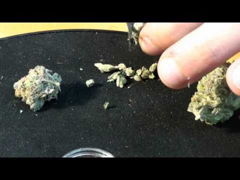 St. Patty's Day Tokes: 6-PART WIDOWMAKER SESSION
