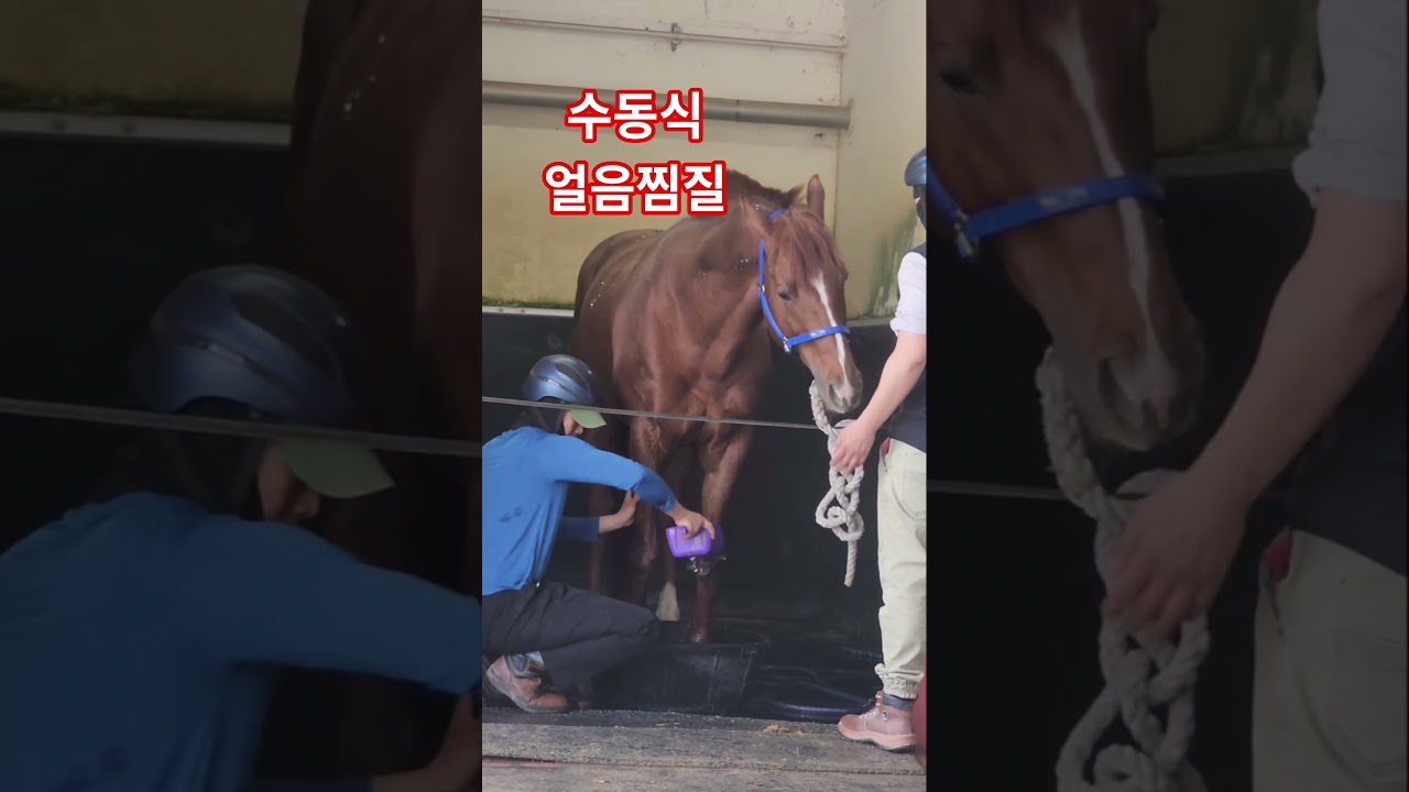 수동식 얼음 찜질