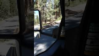 Uhauling To Big Bear
