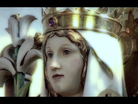 Video Image