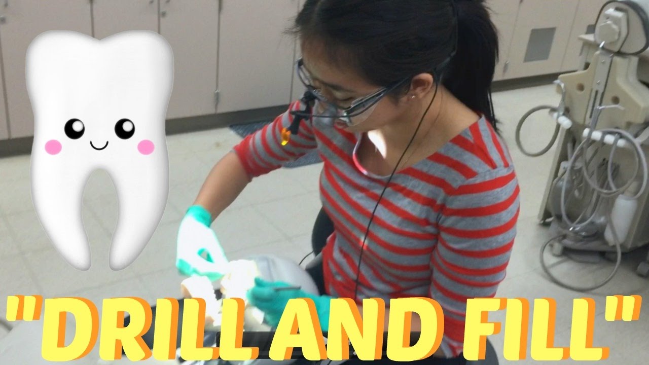 Drill and Fill || Brittany Goes to Dental School
