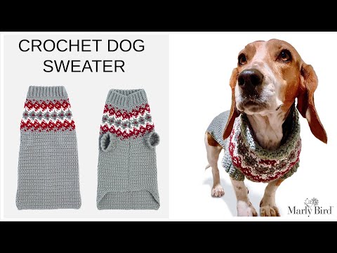 Video: Cách đan Quần áo Cho Chó Dachshunds