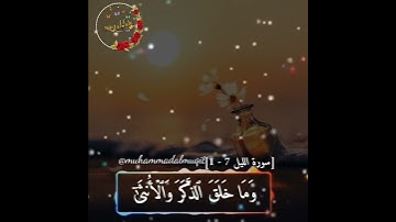 سورة الليل