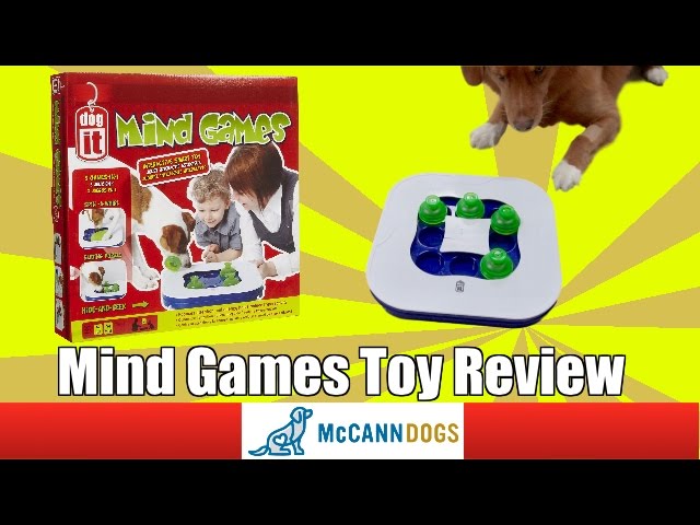 Dogit Mind Games 3-in-1 Smart Interactive Toy for Dogs