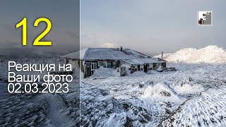 Майк Топтыгин Реакция на Ваши фото 12