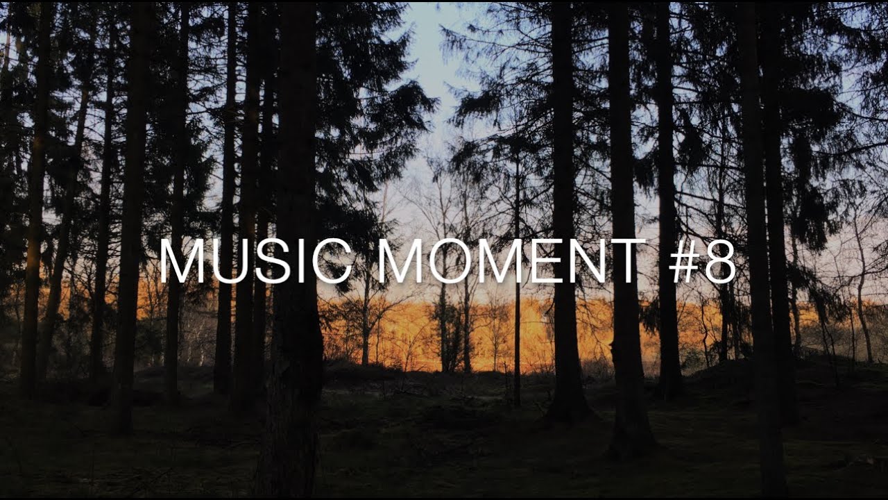 Land - Music Moment VIII