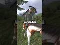 Warband’da Sakın Bu Hatayı Yapma!  #mountandblade  #gaming   #warband