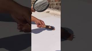 Lens Fire | Experiment 101. #shorts #experiment