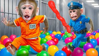 Monyet JoJi melarikan diri dari penjara ajaib dan tantangan jeli dengan bebek | Hewan JOJI Channel