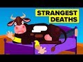 Strangest Ways People Died