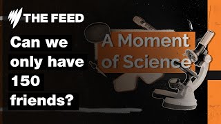 Can we only have 150 friends? | A Moment of Science | SBS The Feed