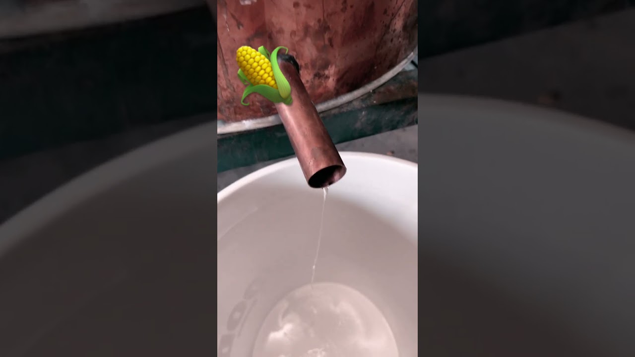 YouTubeでCorn Likker! #Bigchuk #moonshinersを視聴 YouTubeでCorn Likker! #Bigchuk #moonshinersを視聴