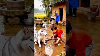 deu o troco #funny #flyp #comedy #memes #viral #shorts