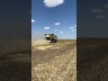 CLAAS DOMINATIR 370, молотим пшеницу.